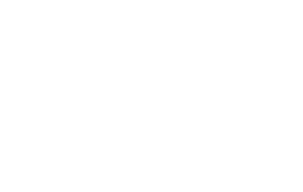 Repair Home