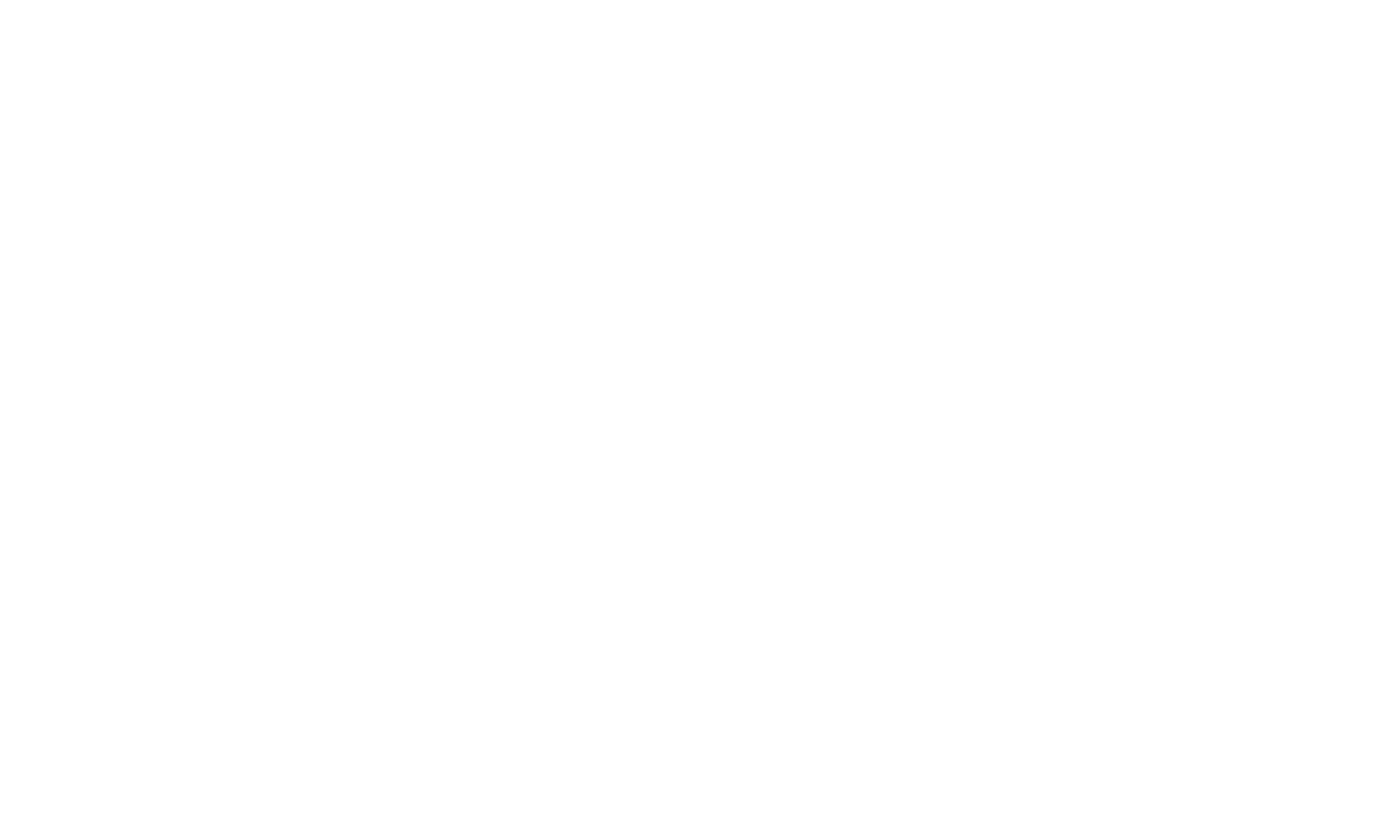 white_logo_transparent_background white_logo_transparent_background